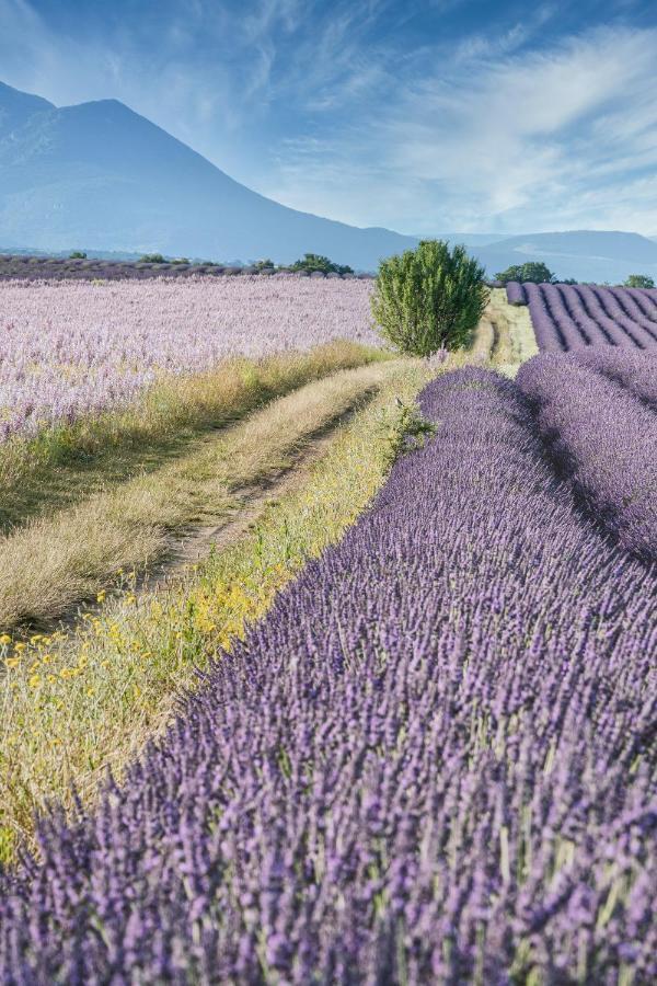 Gite Le Val Zen Valaurie - Drome Provencale Eksteriør billede